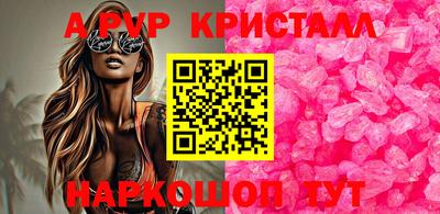 амф Донской