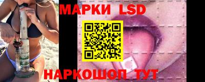 амф Донской