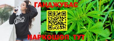 крисы Дубна
